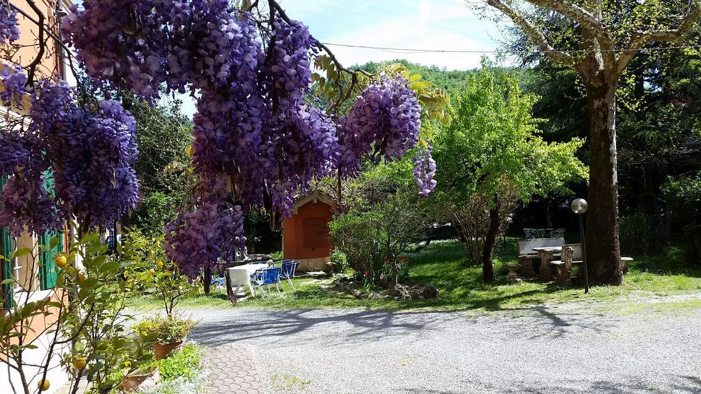 Villa Storica Calderino Monte San Pietro Exteriér fotografie